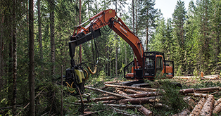 Минпромторг поддержит предприятия лесного комплекса на Дальнем Востоке